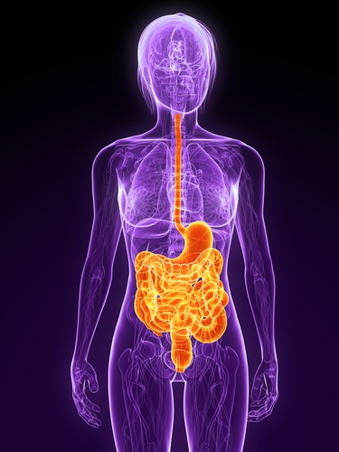 Non è tutto nella tua testa: problemi digestivi nella MH